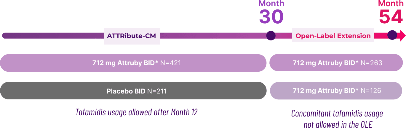 ATTRibute-CM study and open-label extension timeline through Month 54 showing treatment groups and participant enrollment.