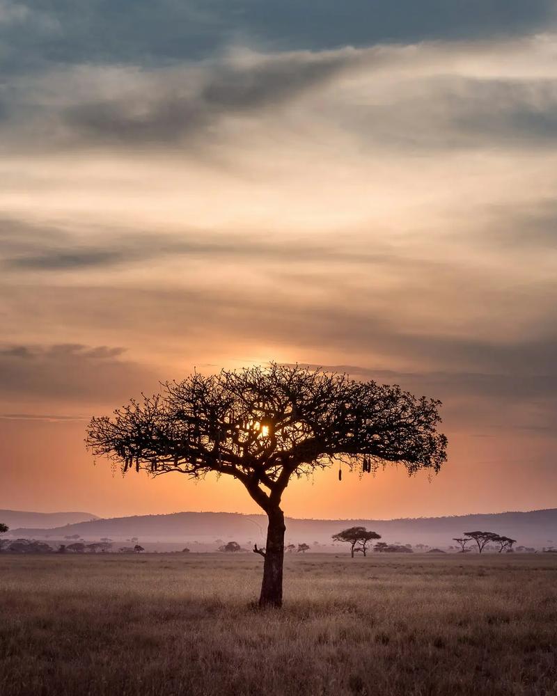 Tanzania