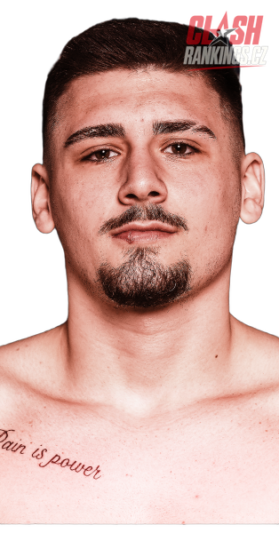 Nikolas  Veselý