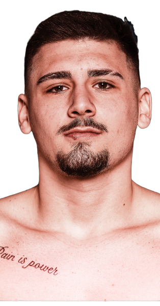 Nikolas Veselý