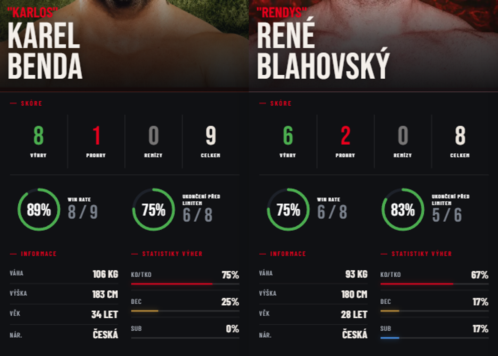 Statistiky zápasů obou borců