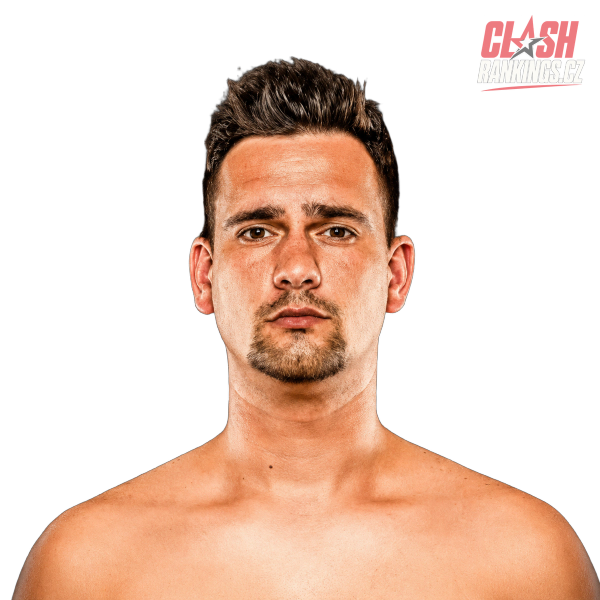 Miroslav "Fayne" Loner
