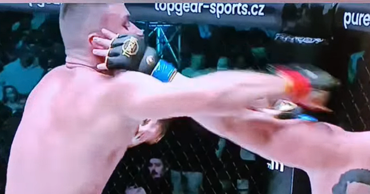 Datel vs Hoffinger