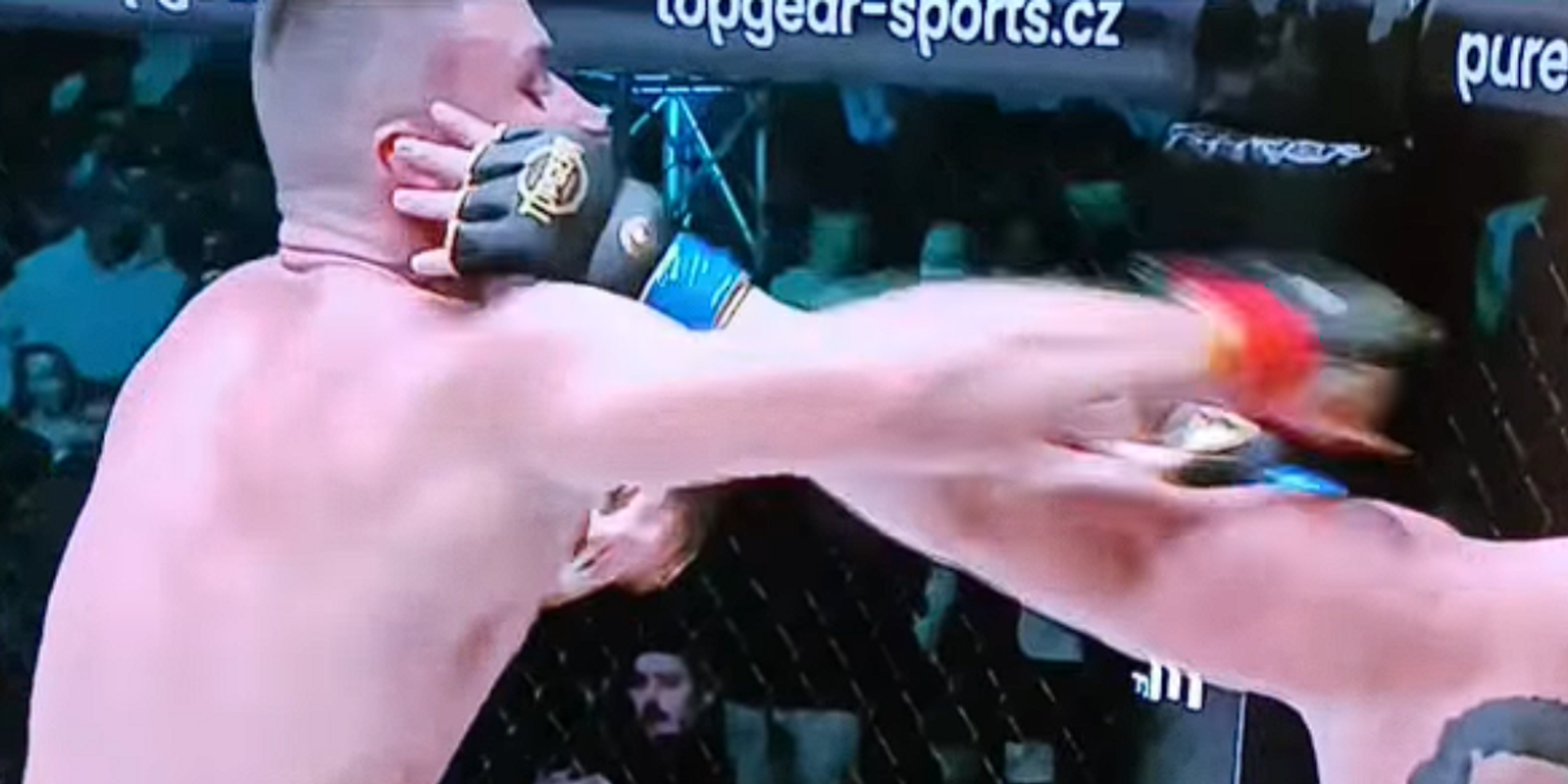 Datel vs Hoffinger