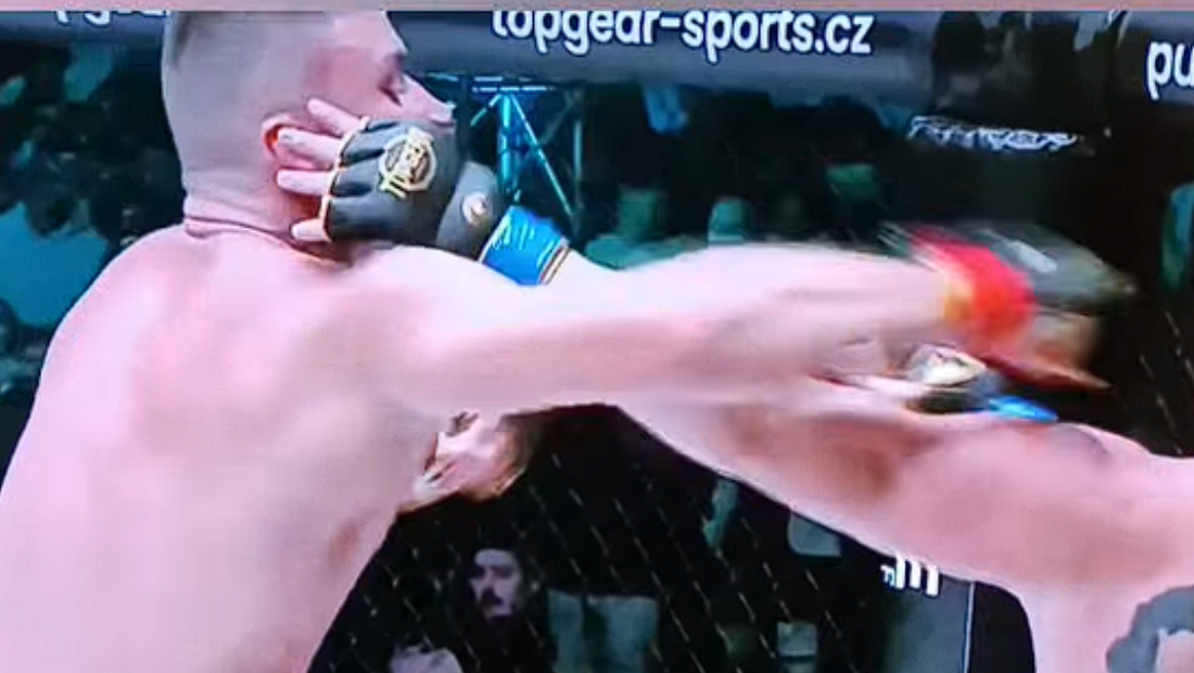 Datel vs Hoffinger