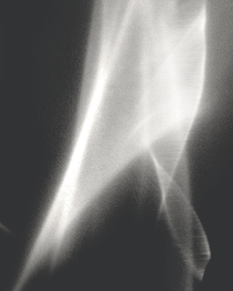 Manta Images 2