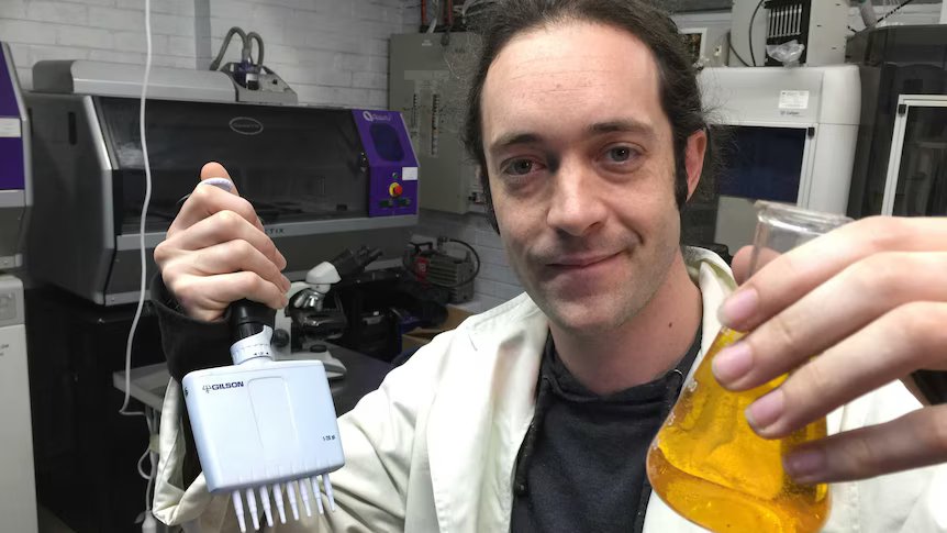 The Raw Revolution: Why THCA Gummies are the 2026 Performance Secret of the Australian Bio-Hacking Scene