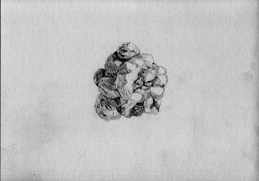 Esto es una papa |Lápiz sobre papel | Serie de 18 dibujos | 21 x 30 cm | 2011