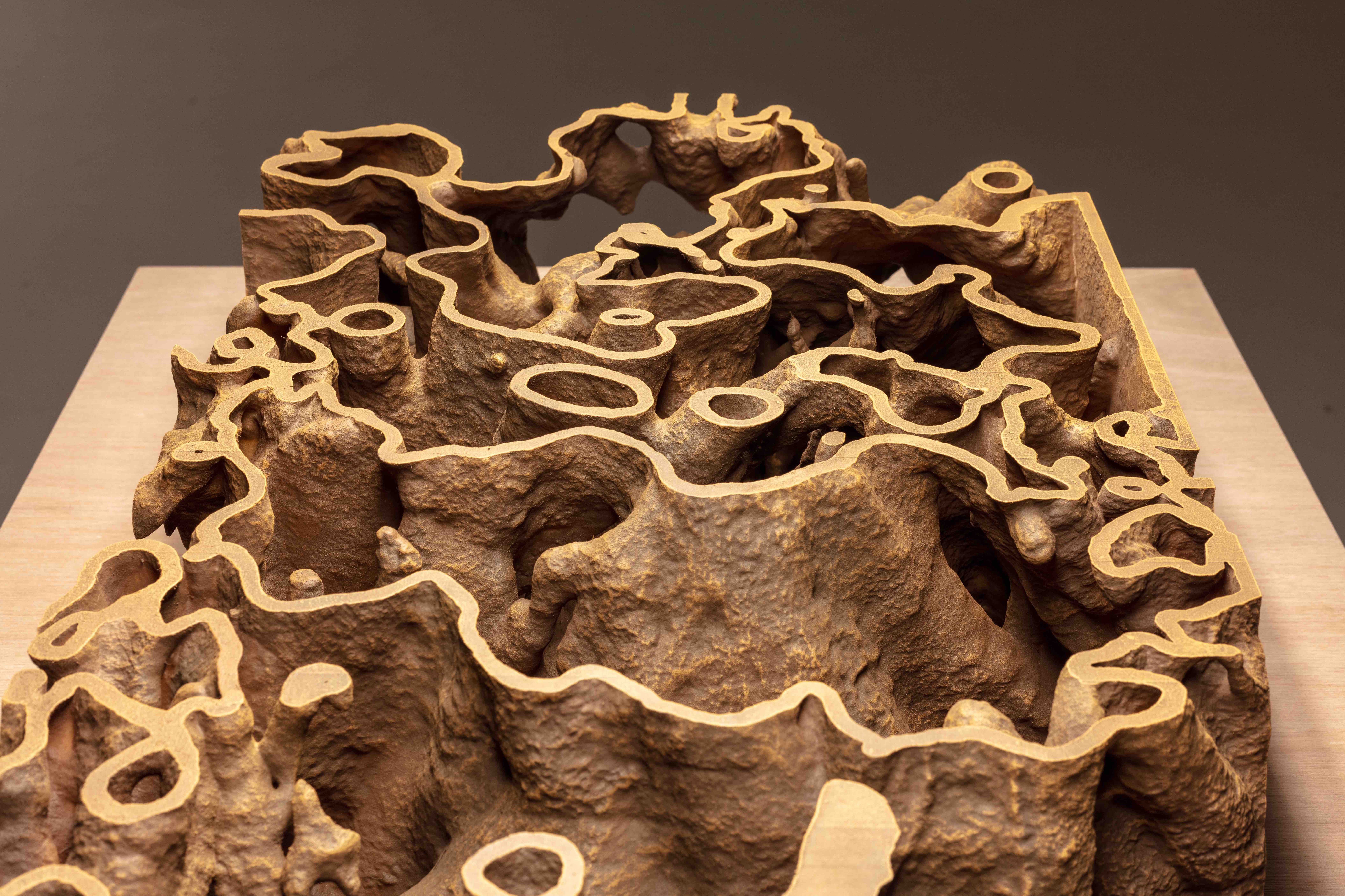 Termite Economies Phase 3 | 2020