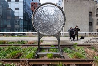 A new work by Antonio Vega Macotela commissioned by High Line 