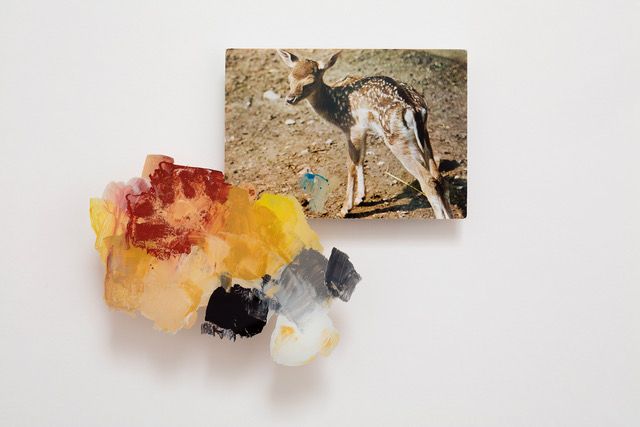 ∩ (Fallow Deer Fawn) | 2018 | Detalle