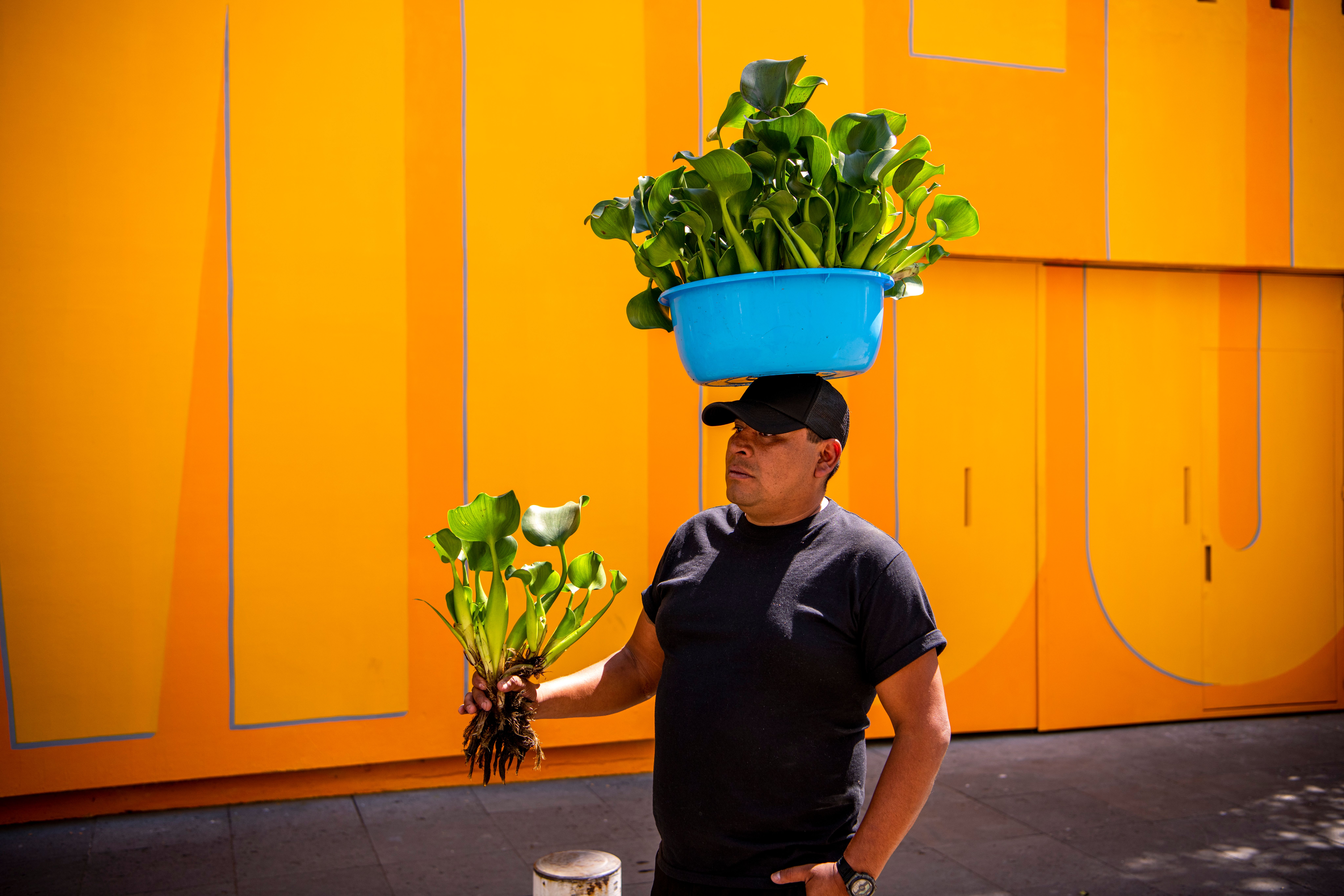 "Delirio" performance en LABOR, febrero 2023.