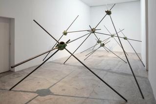 Etienne Chambaud, "Fractal Zoo", 2013