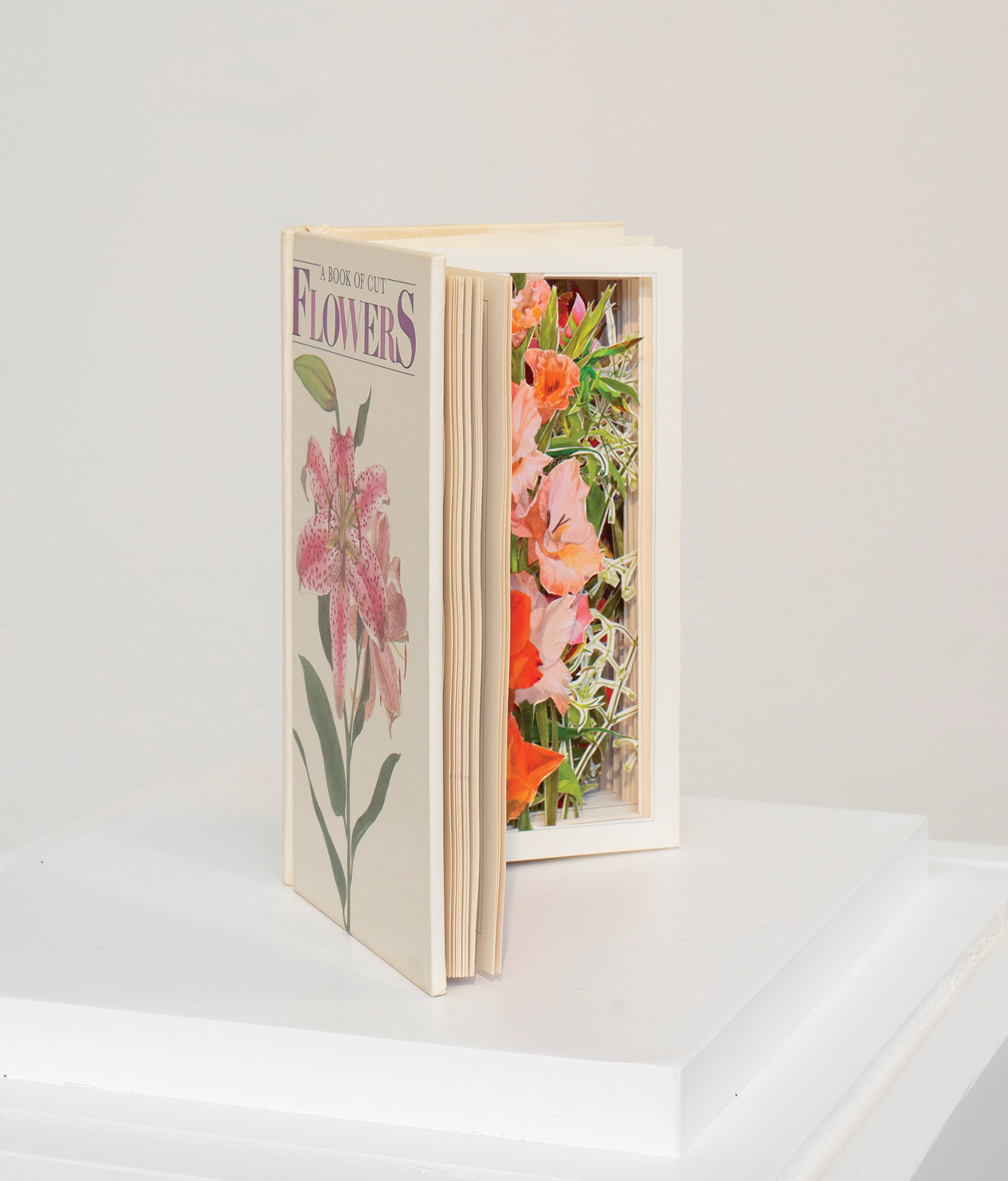 Jill Magid, “Suggested Arrangements: Gladiolus”, 2022. Libro (A Book of Cut Flowers), páginas cortadas. 15.9 x 19.1 x 8.3cm