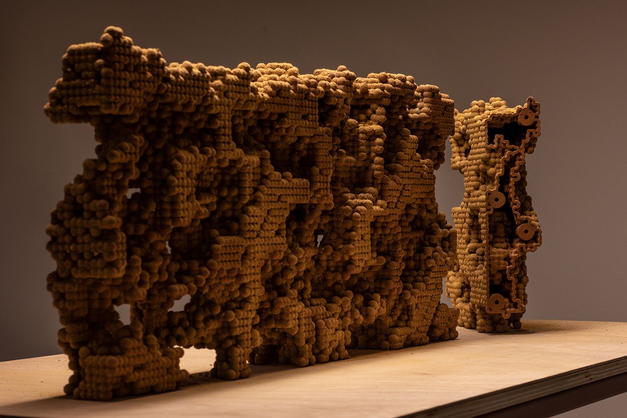 Termite Economies de Nicholas Mangan en Sutton Gallery