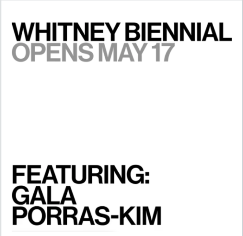 Gala Porras-Kim en la Whitney Biennial
