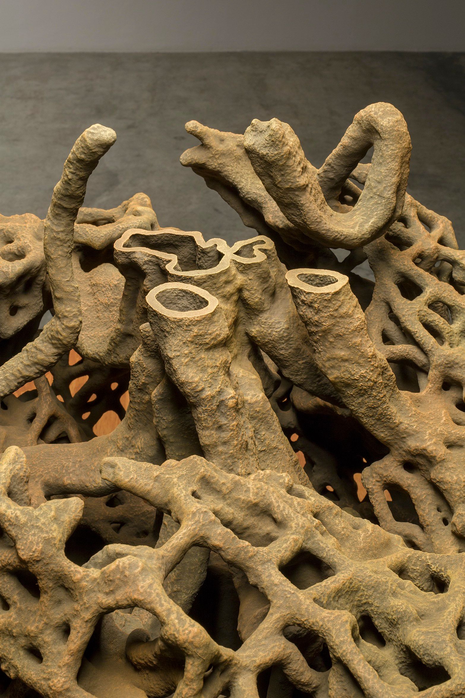 中古 PhonosycographDISK - Ancient Termites These extinct termites have been stuck in a mating position for 38