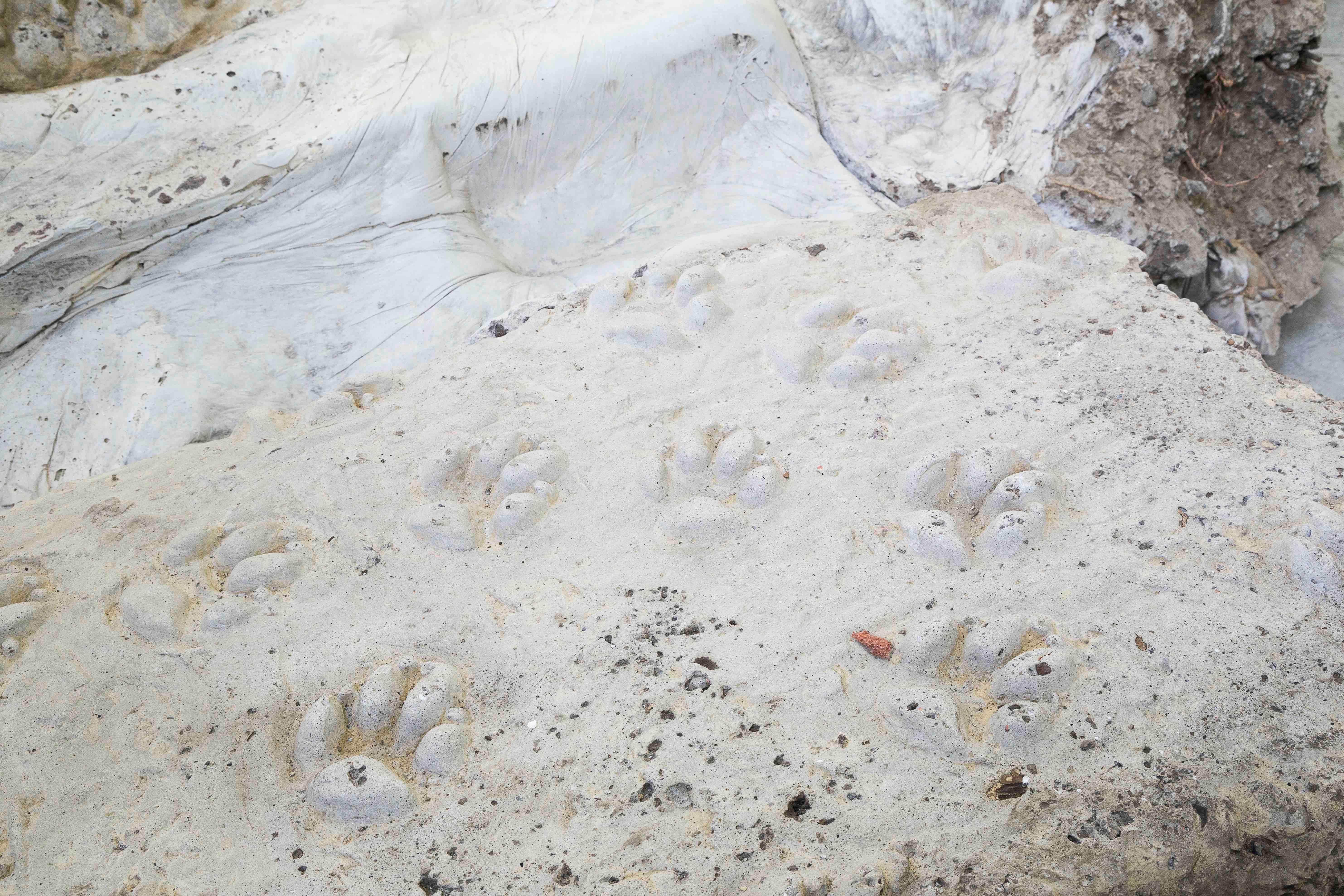 Un tema moral moderno, decorar el agujero | Detalle | 2017