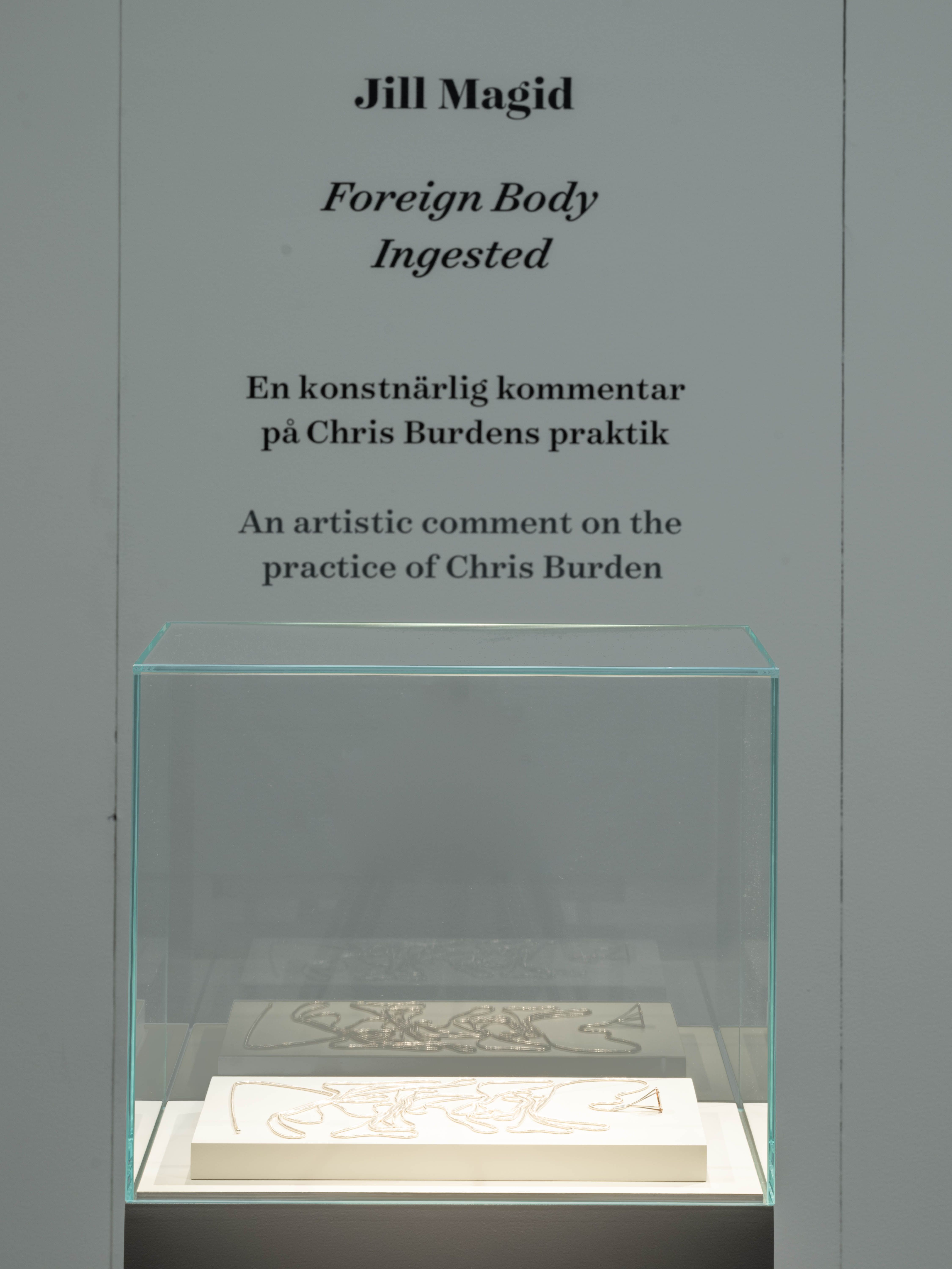 Jill Magid, Foreign Body Ingested (Portrait of My Son), 2022. Magasin III Production. Installation view, Magasin III Museum for Contemporary Art, Stockholm. Photo: Jean-Baptiste Béranger. ©magasin3