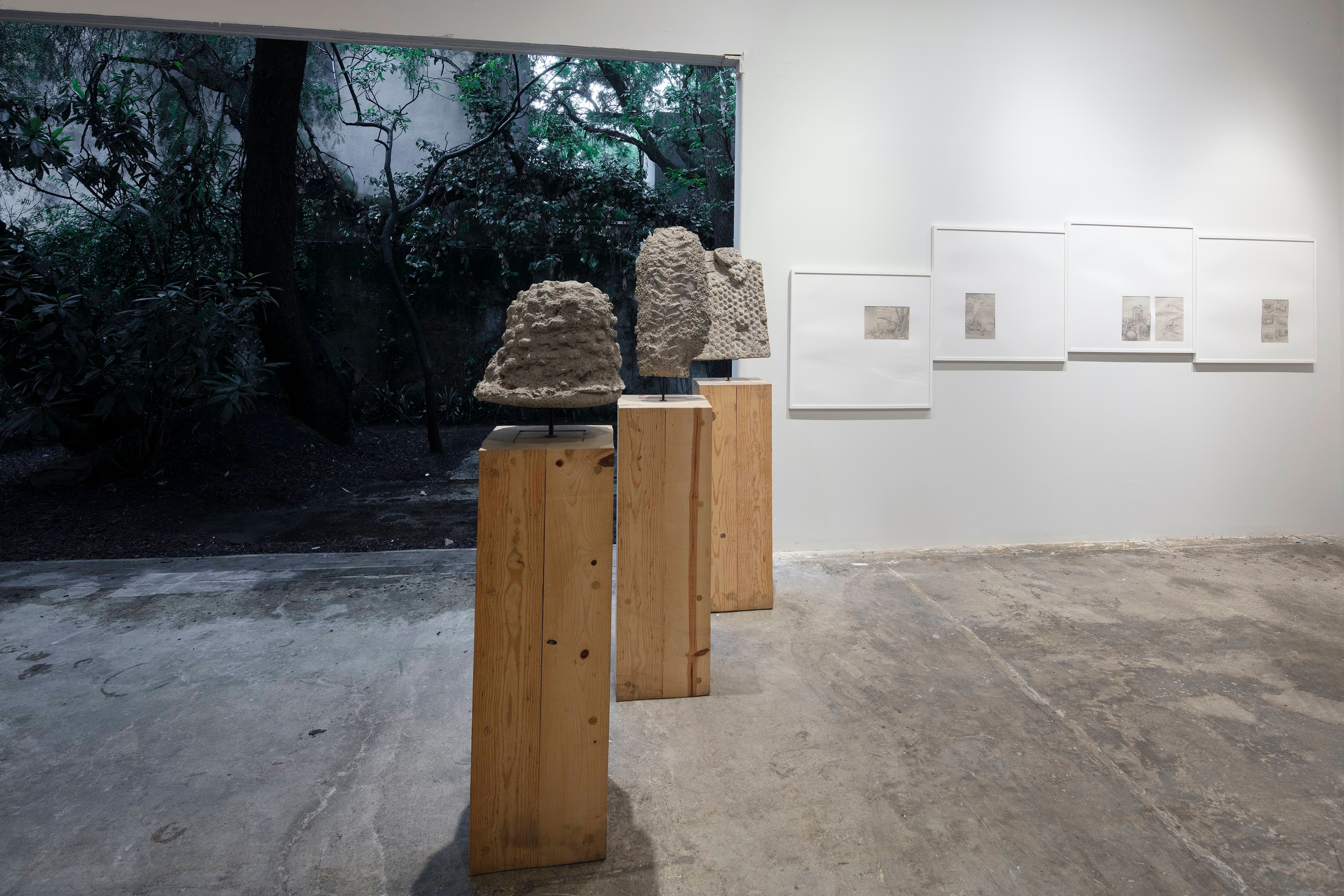 Vista de exposición. Labor, 2024.