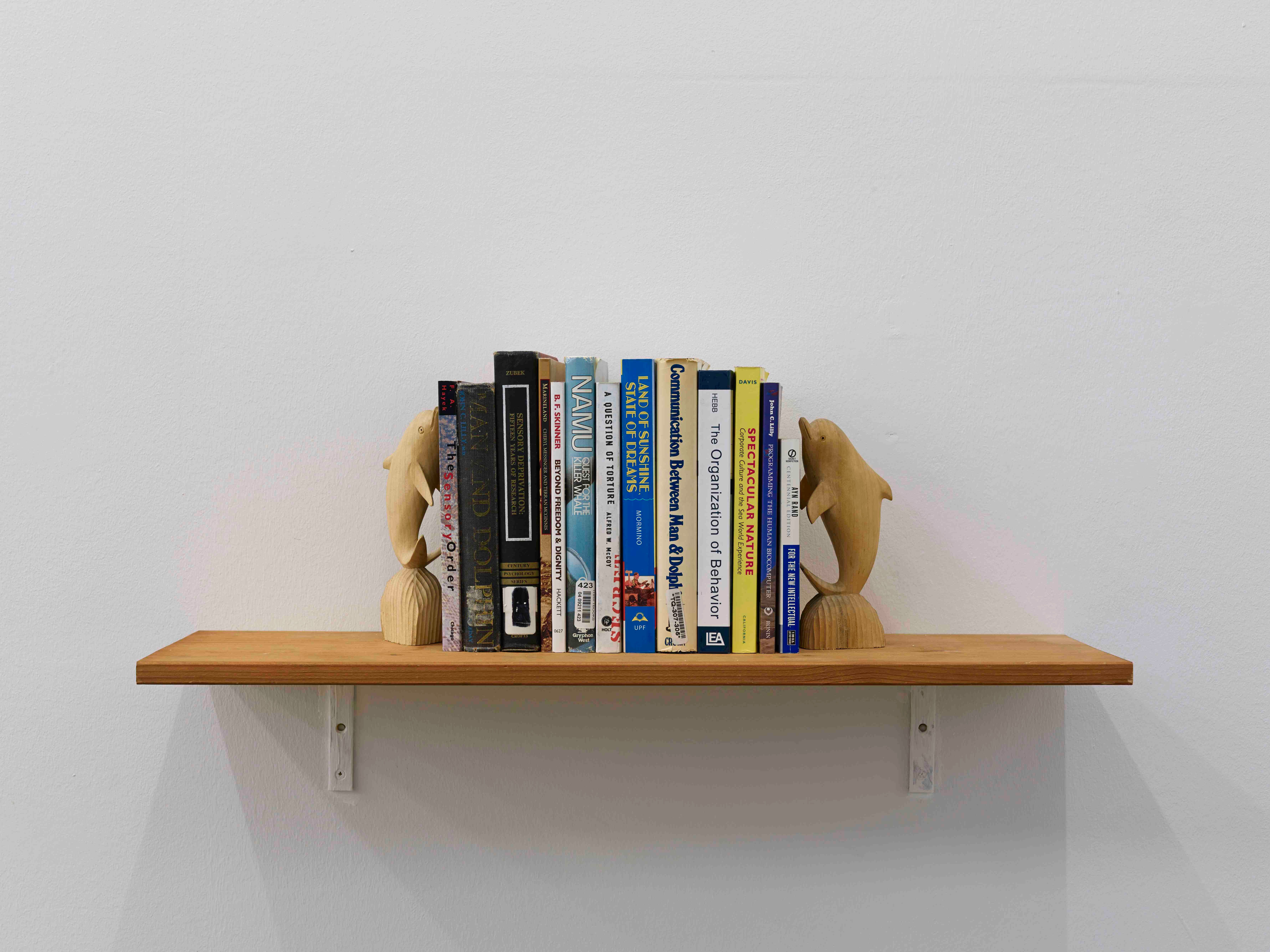 Man & Dolphin | Madera labrada y libros | 21 x 76 x 23.5 cm | 2015