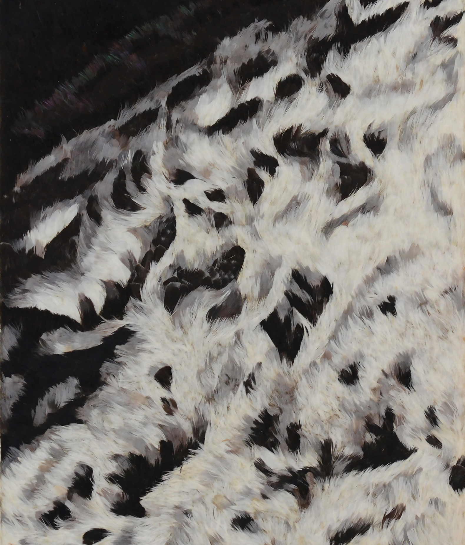 Pablo Vargas Lugo, “SolarMax (Spiculae)”, 2022. Detalle. Pluma de gallo, gallina y paloma, cera, papel, papel japonés, papel de arroz, seda y madera. 146 x 45.5 x 2.5cm