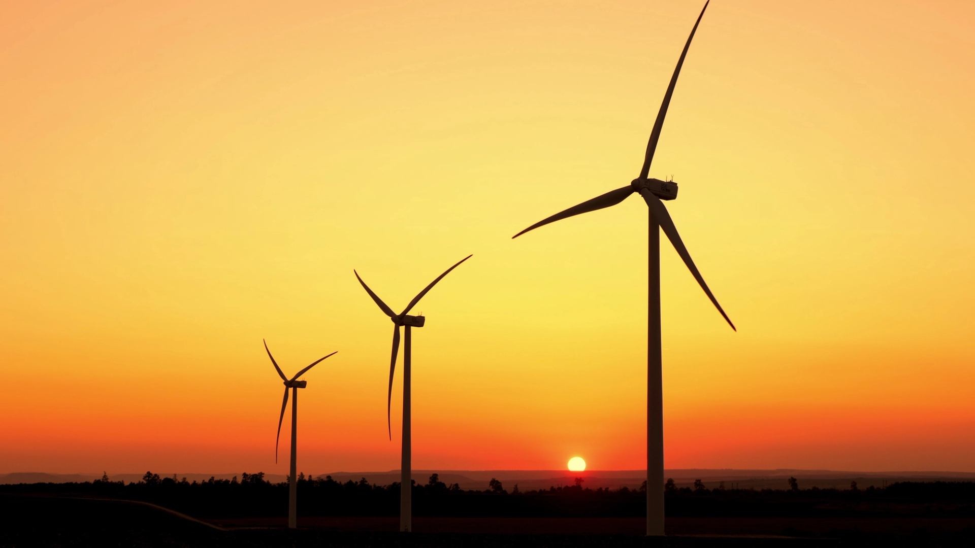 Sustainability