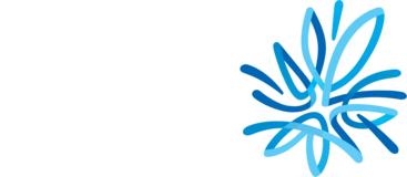 AMP