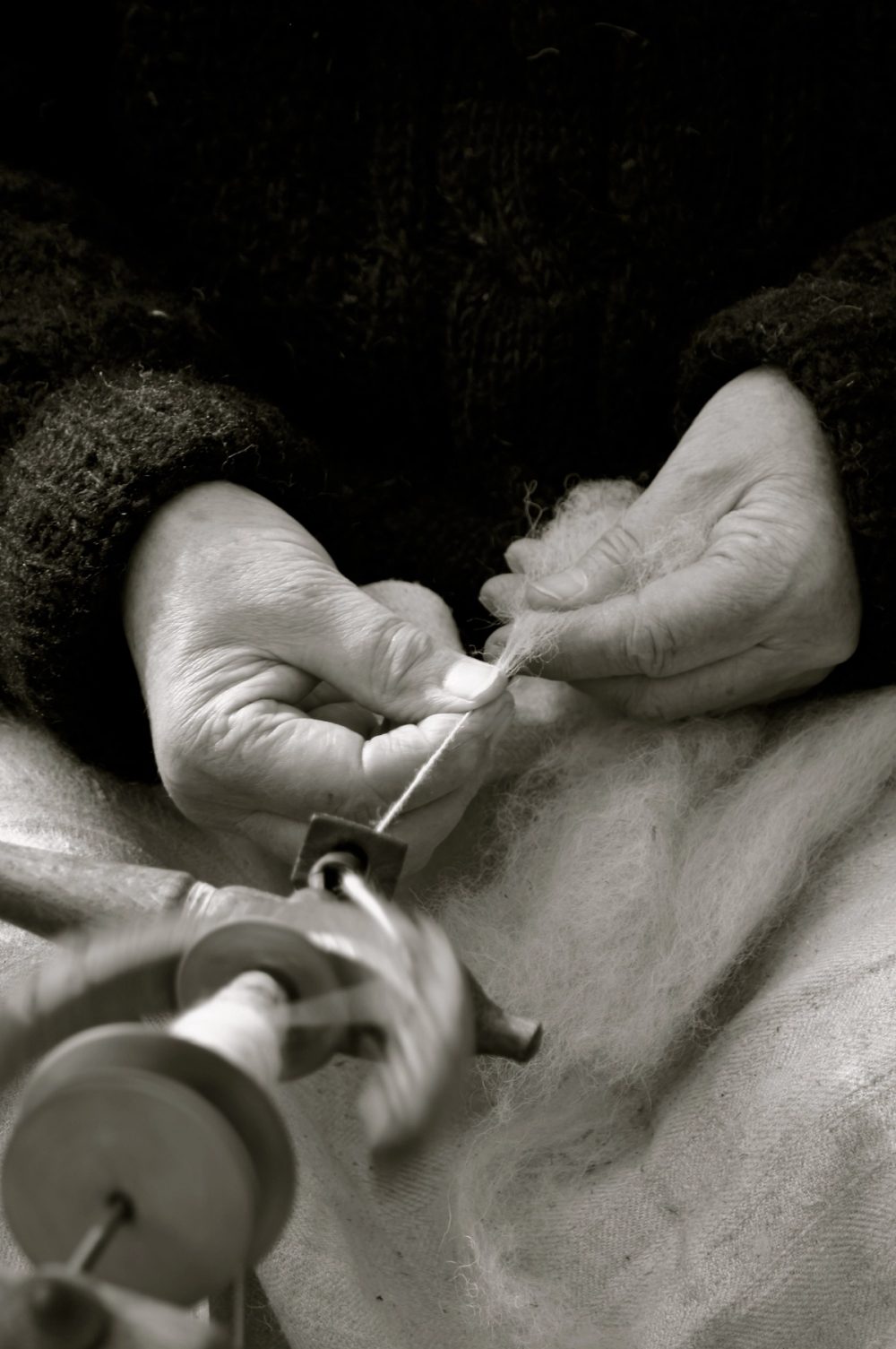 Close-up of hands drawing wool fibres into yarn on a spinning wheel.