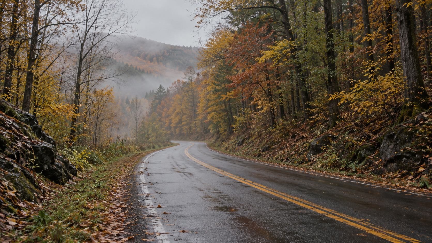 A wet road with double yellow lines curves through autumn trees toward misty hills