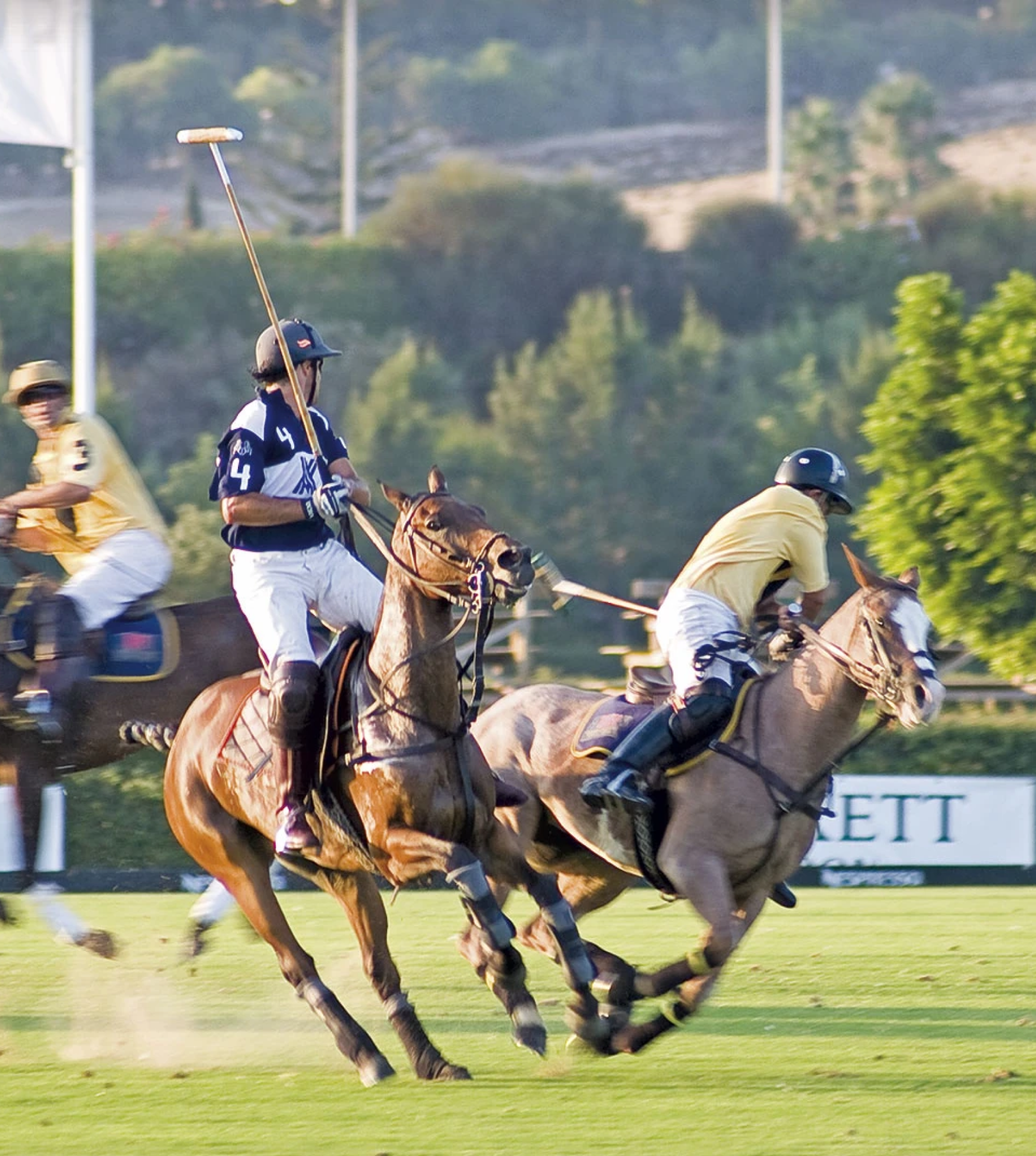 Intense polo match in action, players in blue and yellow jerseys riding horses on a lush green field.