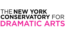 Sponsor logo