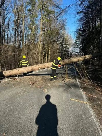 TECHNICKÁ POMOC,ODSTRANĚNÍ STROMU