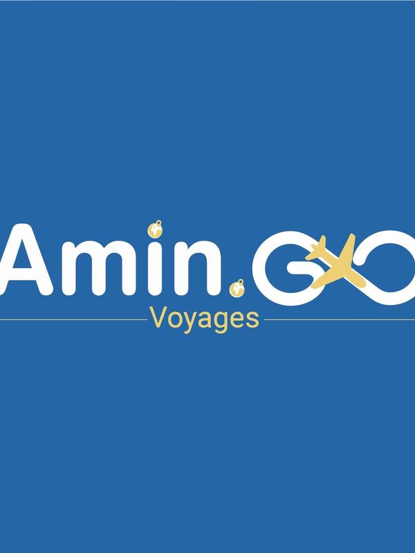 Amingo Voyages