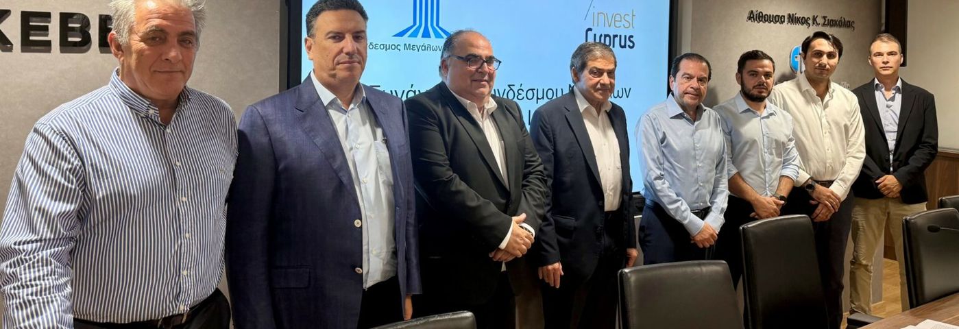 Invest Cyprus business meeting on attracting foreign investment