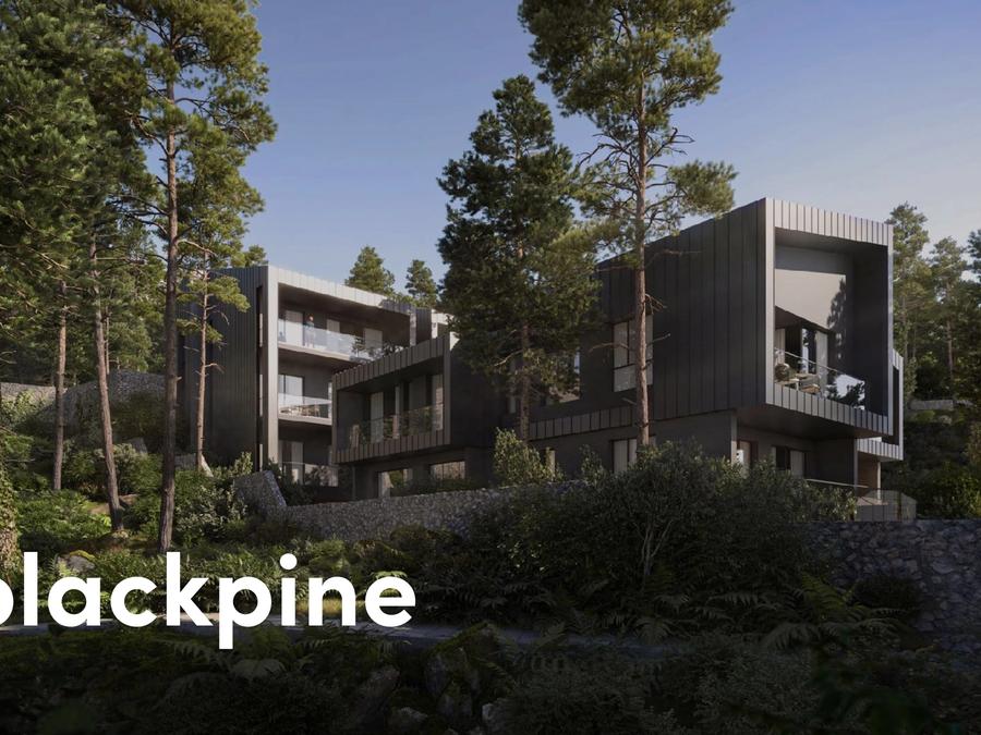 Blackpine — 6