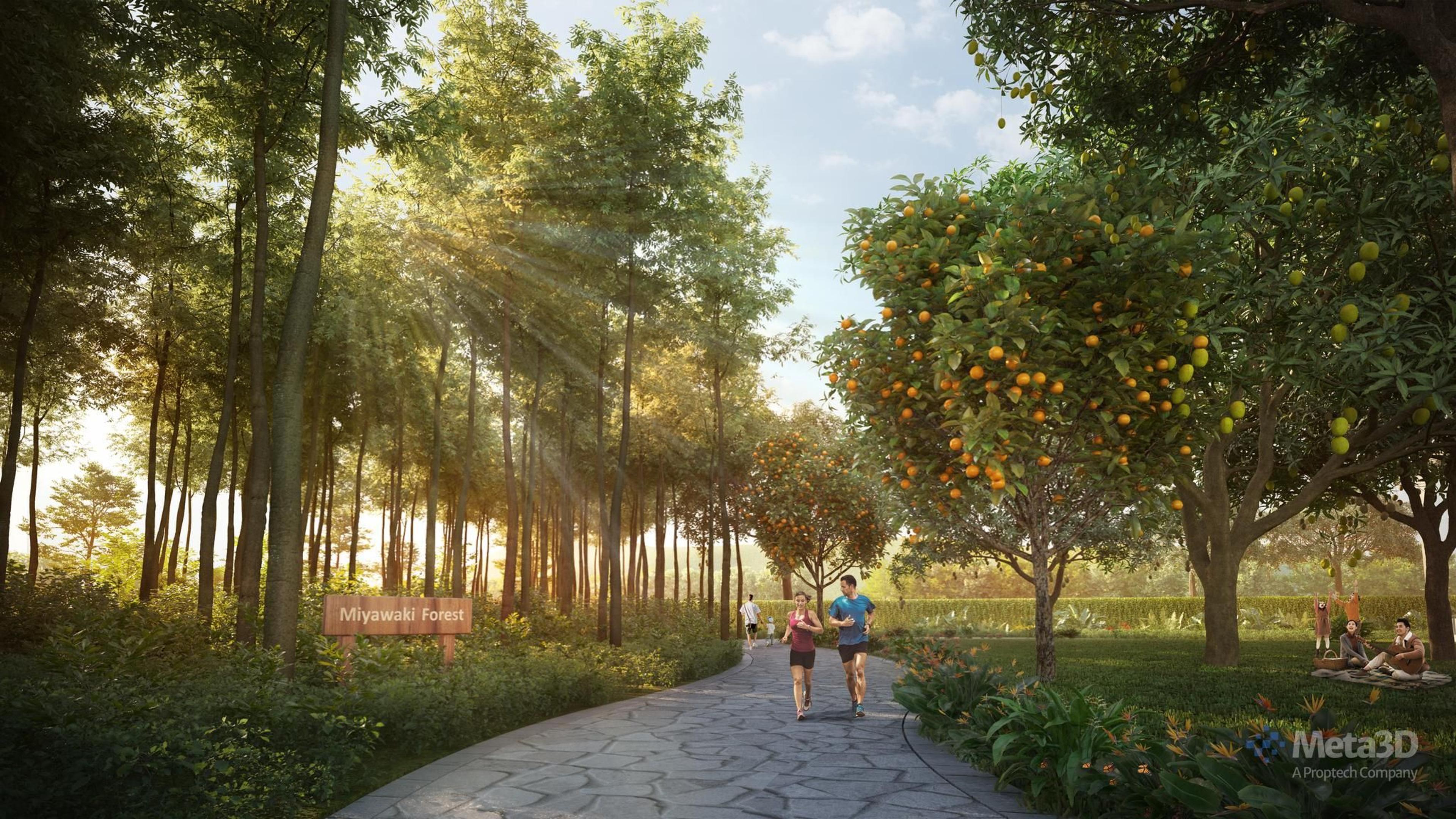 Plotted Land Exterior 17