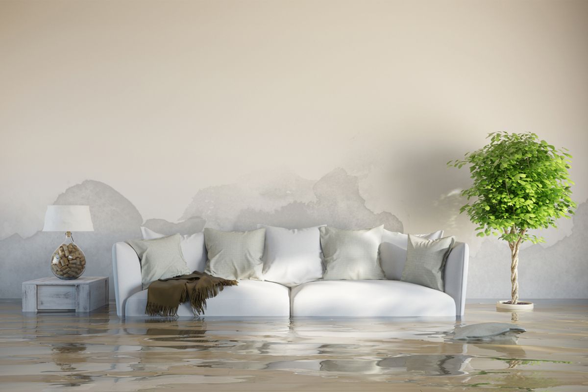 WATERSCHADE LEK LEIDING WATERINSIJPELING VOCHT