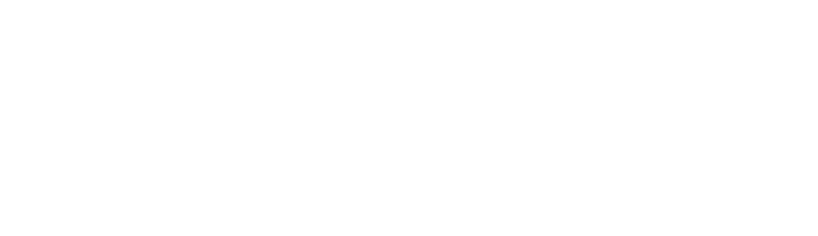 Bodelsen og Schramm Erhvervspyskologer logo