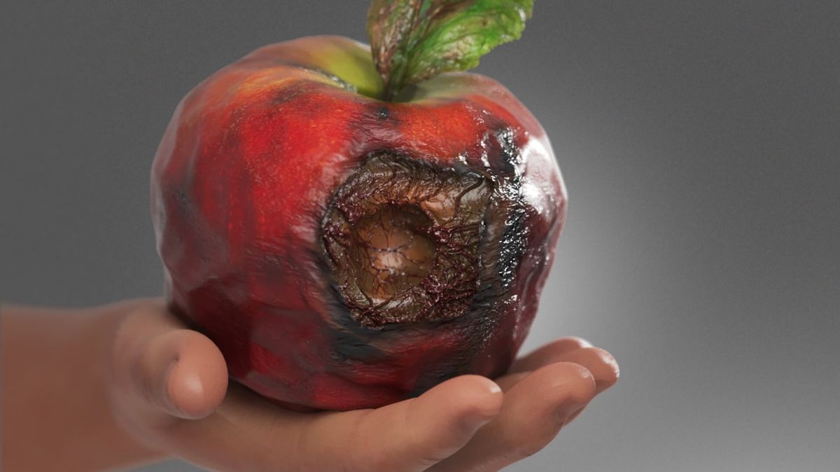 The Rotten Apple