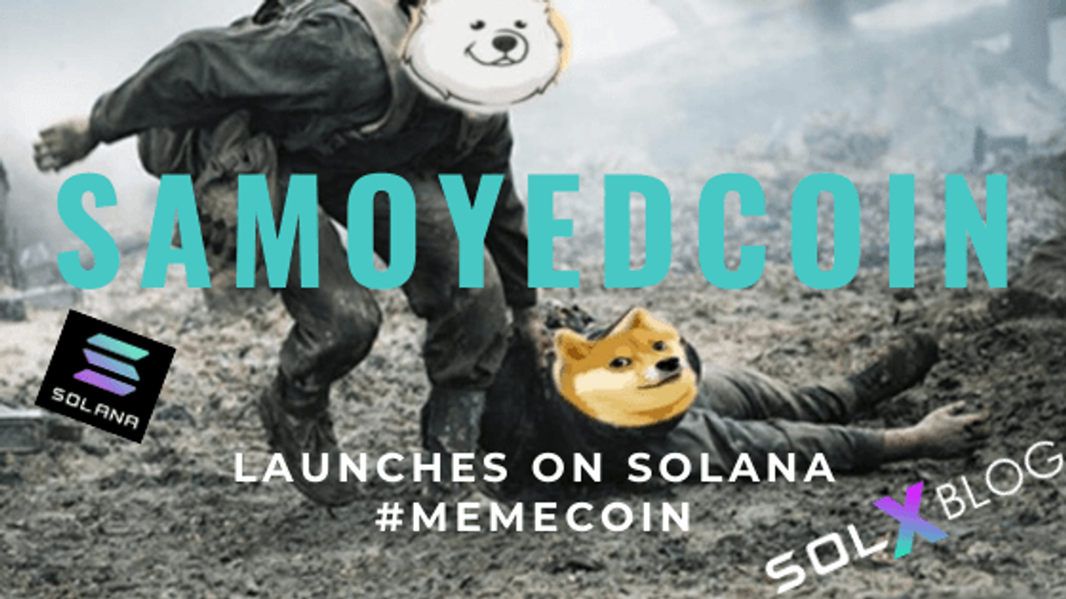 Memecoin Samoyedcoin Launches on Solana Blockchain!