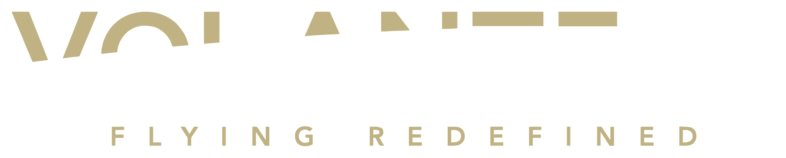 Logo Volanteus
