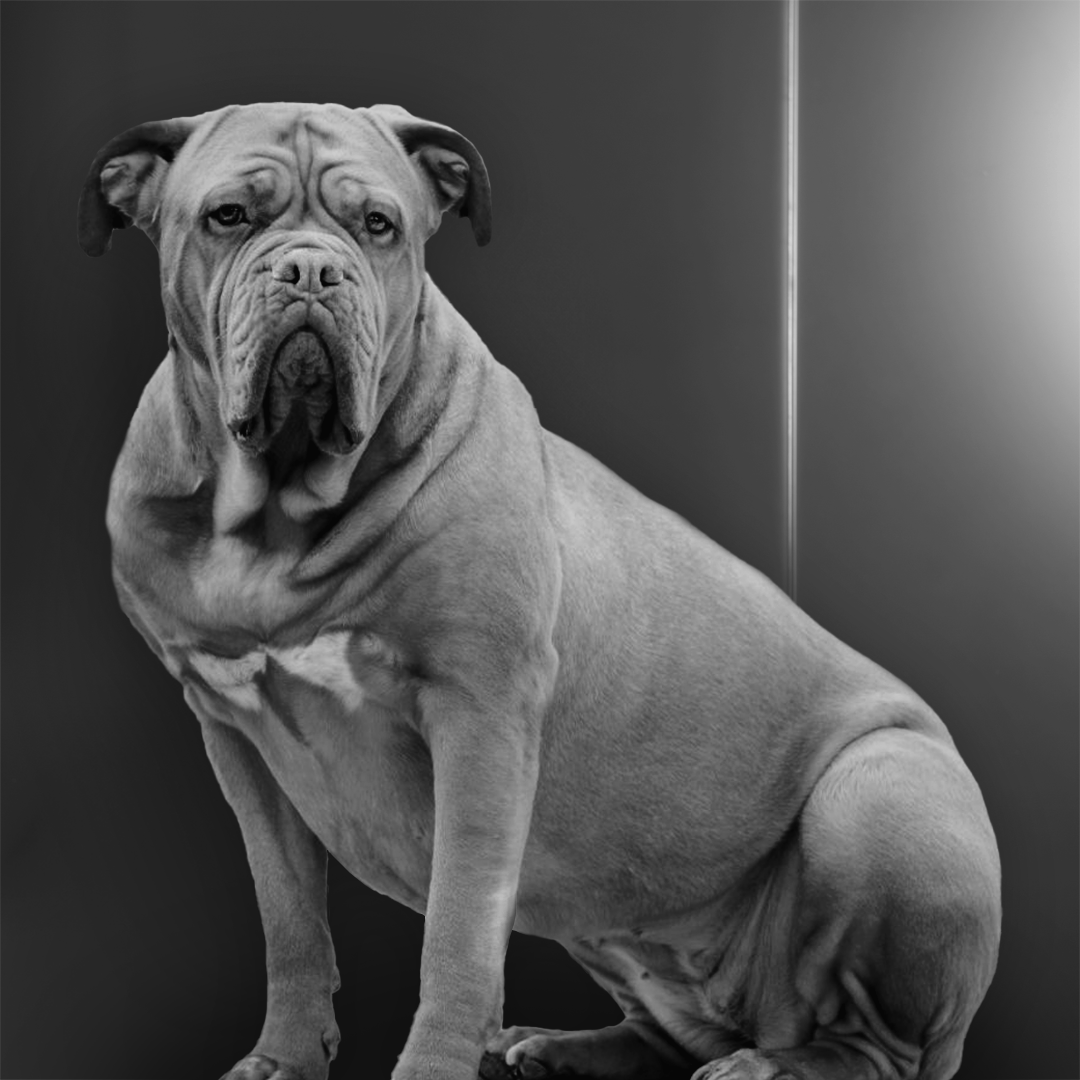 Beau