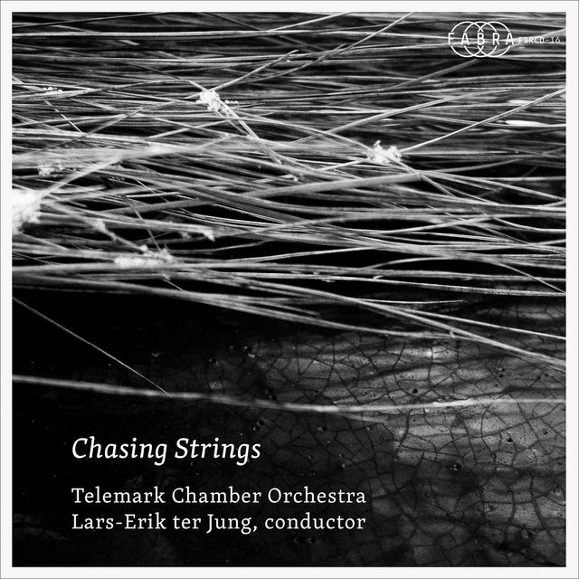 Chasing strings cover
