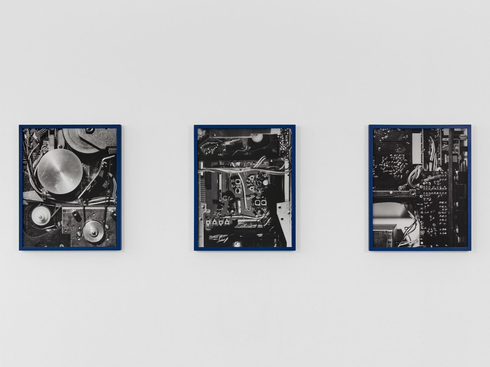 Three images on a wall
