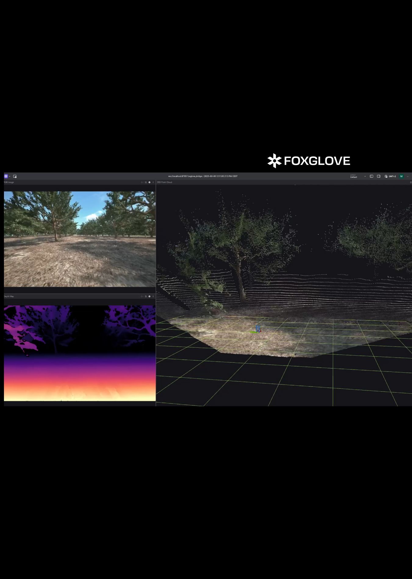 Stereolabs and Foxglove