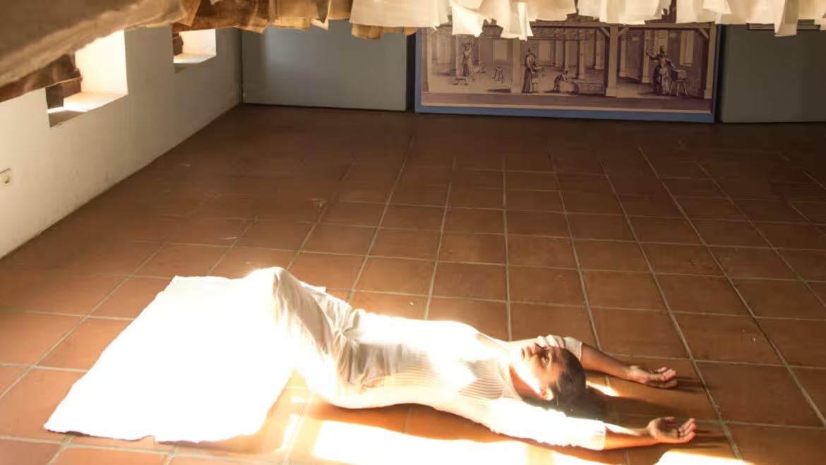 Academia virtualis (26)