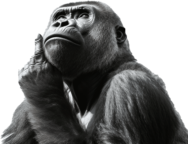 A gorilla photographed in black and white, chin resting on one hand — a play on the Goalrilla name.