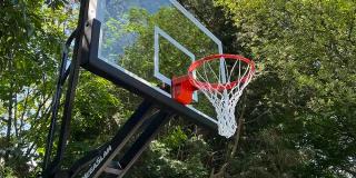 Close-up of a glass MegaSlam backboard and red rim, photographed from below against trees.