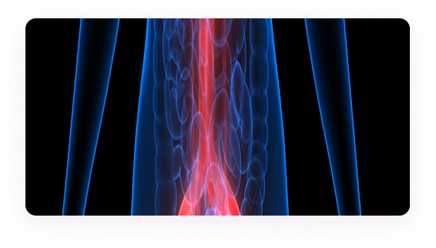 Andrology